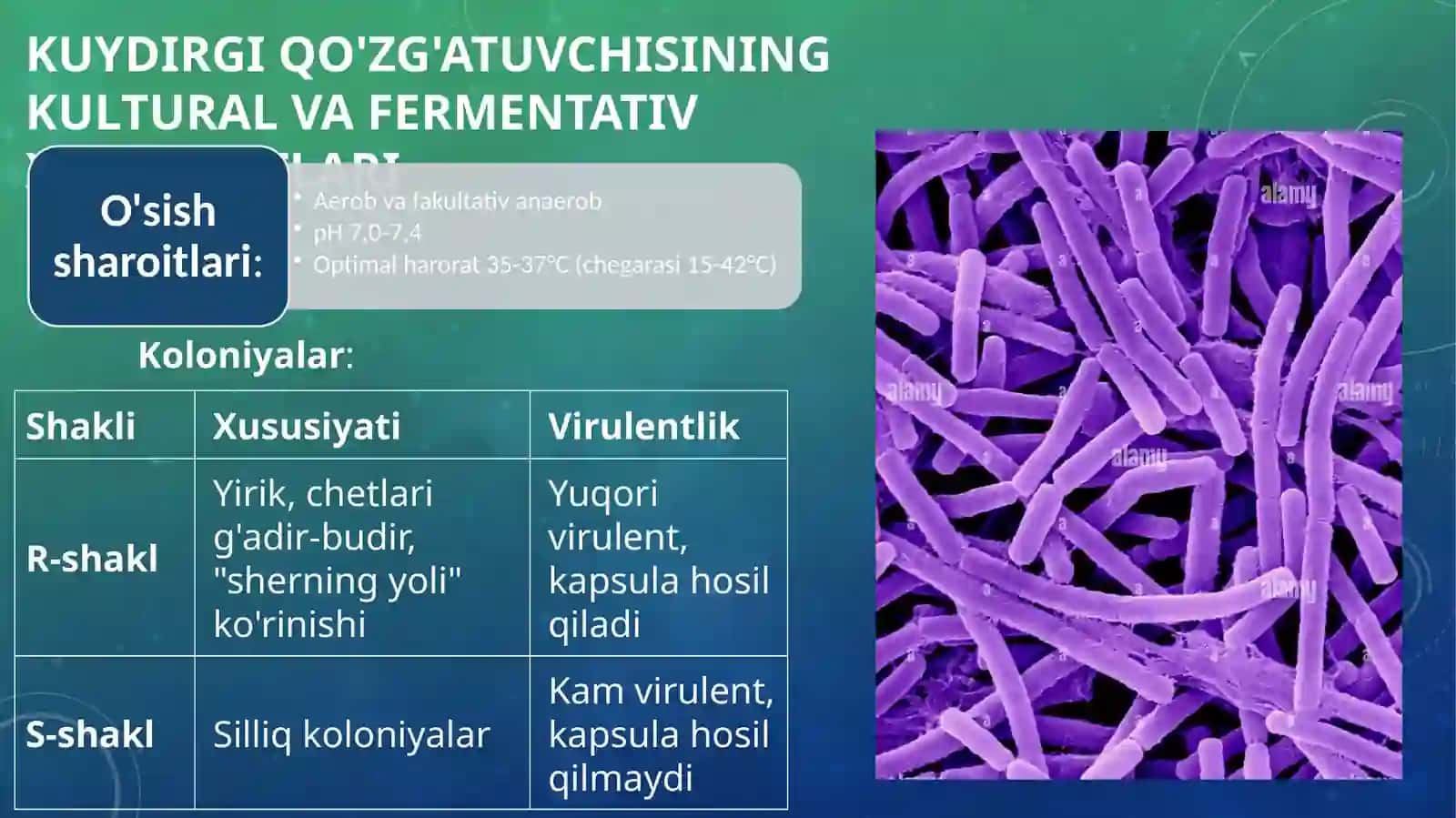 O'TA XAVFLI INFEKSIYALAR: KUYDIRGI VA BRUTSELLYOZ QO'ZG'ATUVCHILARINI TASNIFI VA LABORATORIYA TASHXISI 4