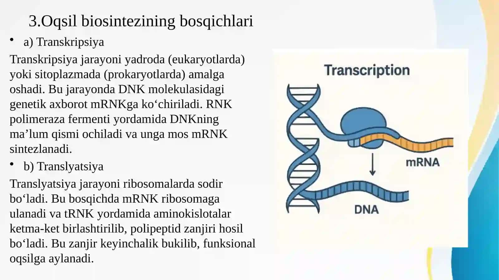 Oqsil biosintezi 4