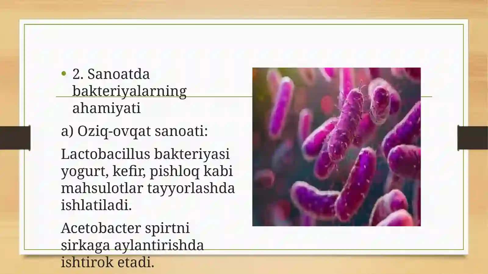 Bakteriyalardan sanoatda va qishloq xo’jaligida ahamiyati 4