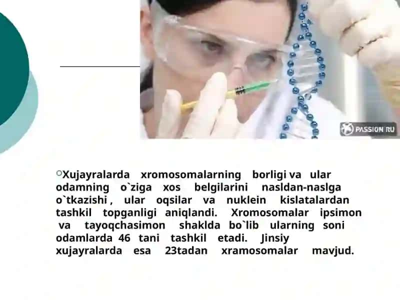 Irsiyat 4