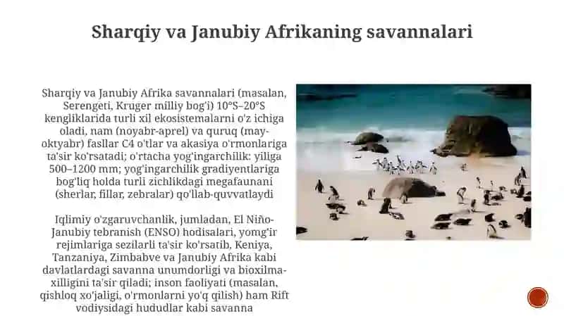 Afrika materigining tabiat zonalari va iqlim mintaqalari 4
