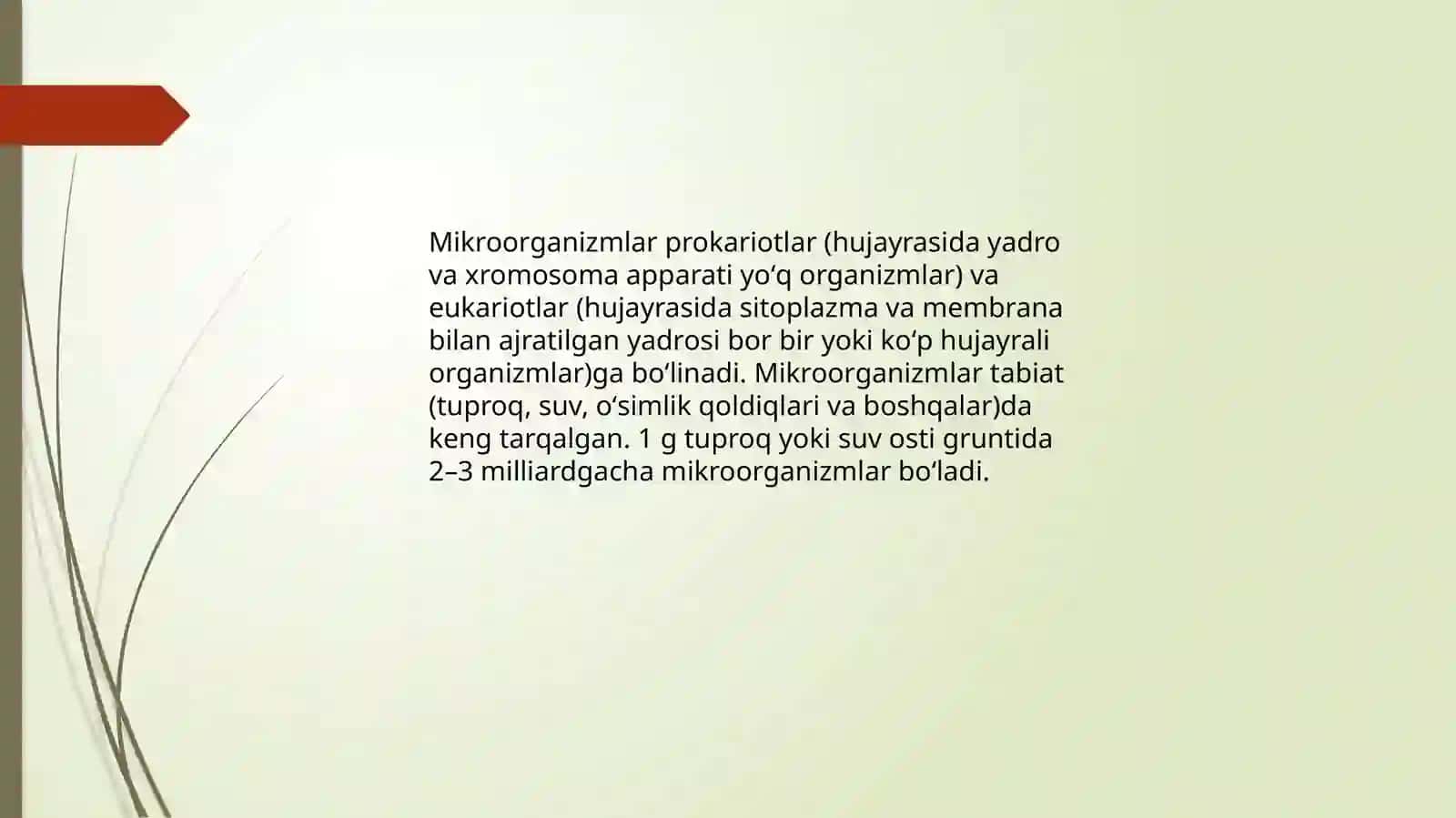 Mikroorganizmlarning tibbiyotdagi ahmiyati 4