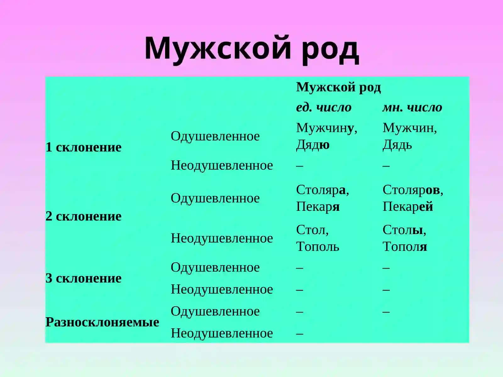 Винительный падеж 4