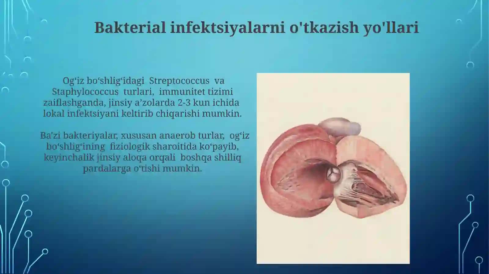 Jinsiy a'zolar va og'iz shilliq qavati 4