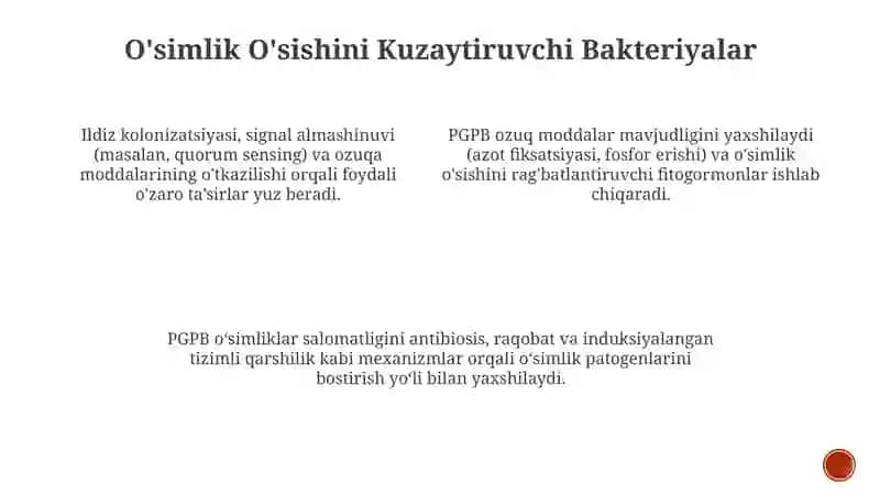 O'simlik va Mikroorganizm O'zaro Ta'sir 4
