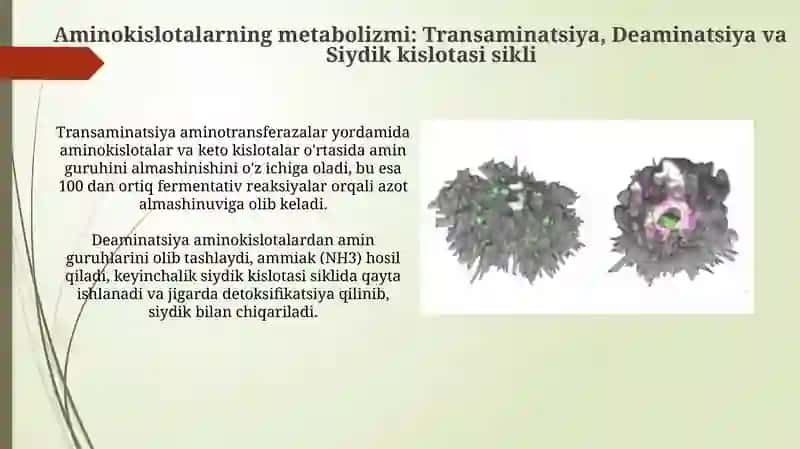 Odamorganizmidaoqsinlarningbiokimyoviyoʻzgarishi 4