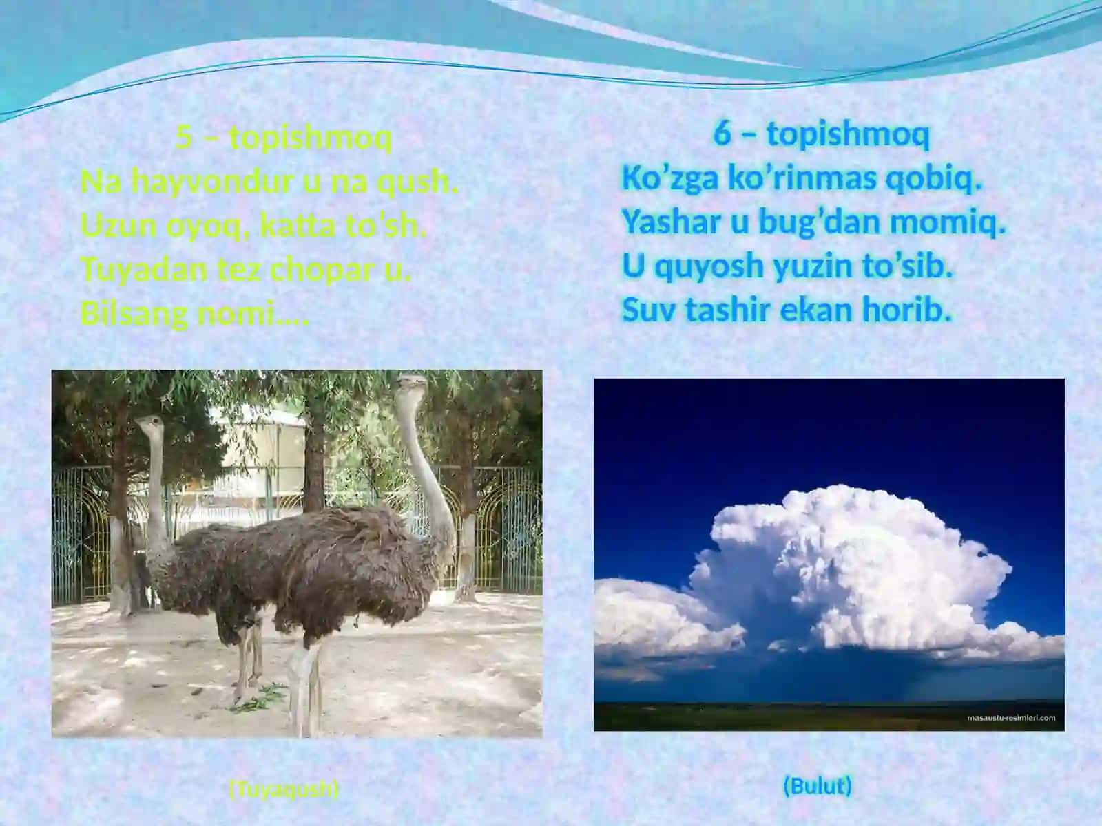 Geografik topishmoqlar 4