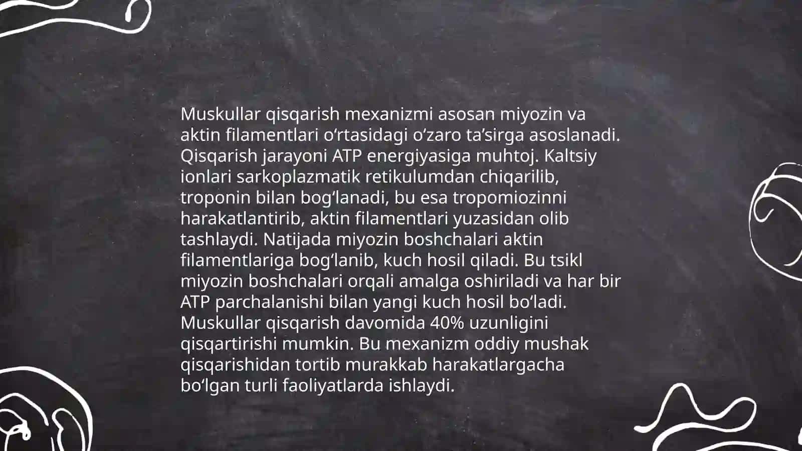 Muskullar fiziologiyasi 4