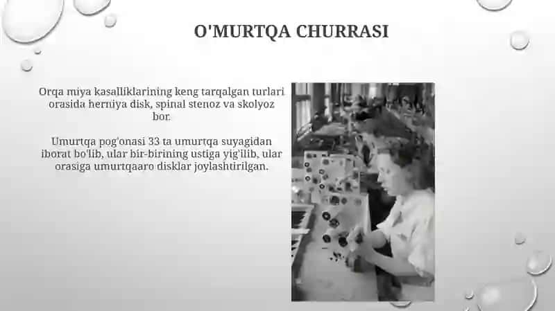 Umurtqa pogʻonasi,boʻlimlari va kasalliklari 4