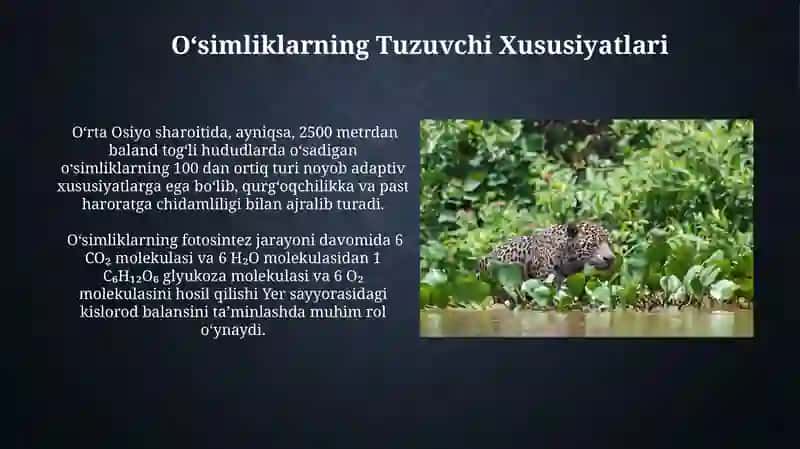 Oʻsimliklar va Hayvonlarning Xilma-xilligi 4