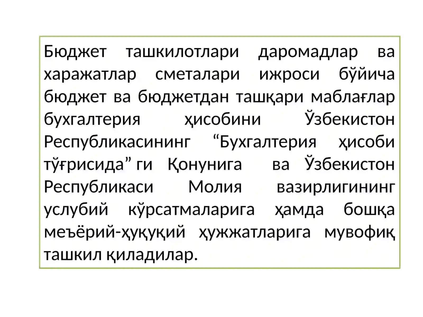 Byudjet tashkilotlarida Byudjet hisobining tashkiliy – uslubiy jihatlari 4