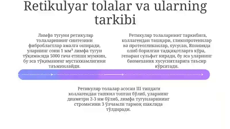 Limfatik tugunning retikulyar to‘qimasi 4