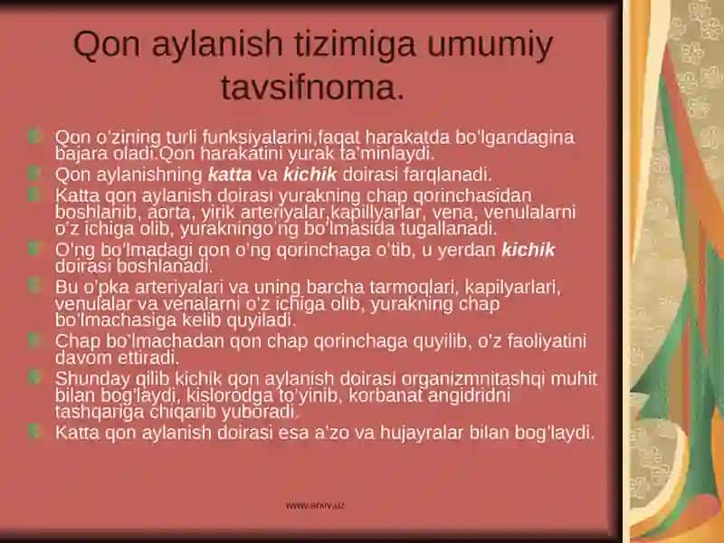 Yurak haqida umumiy tushuncha 4