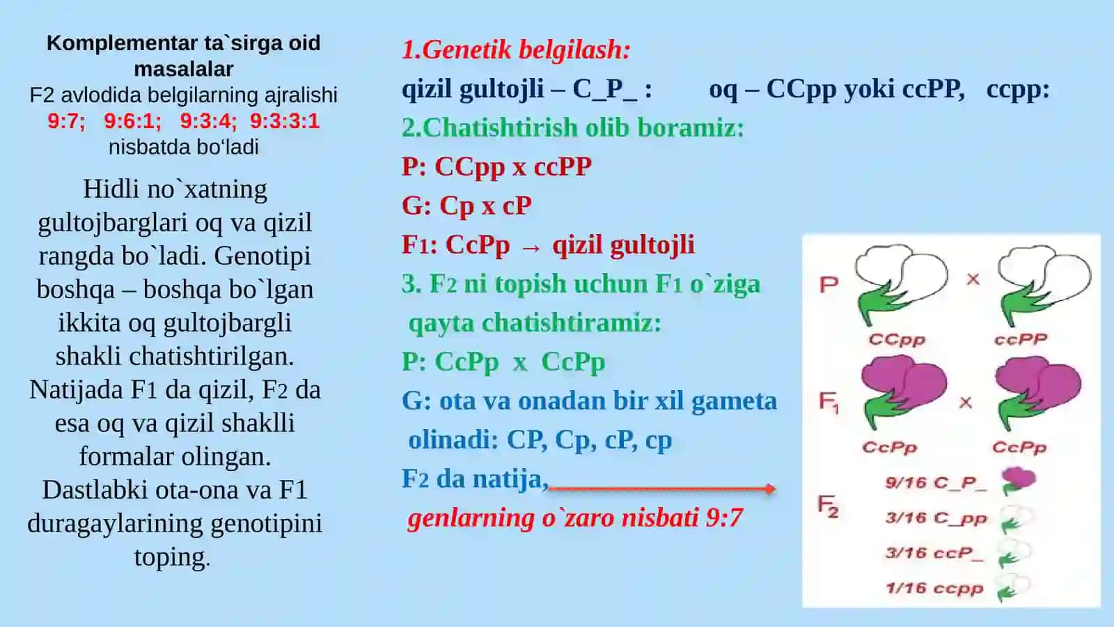 Noallel genlarning o‘zaro ta‘siri 4