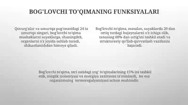 Zich tolali biriktiruvchi toʻqimalar tuzulishi 4