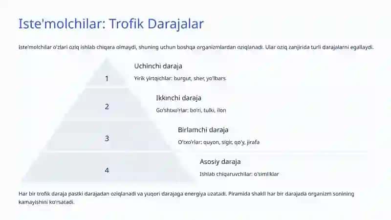 Oziq Zanjiri va Tarmoqlari: Tabiatdagi Hayotiy Bog'lanishlar 4