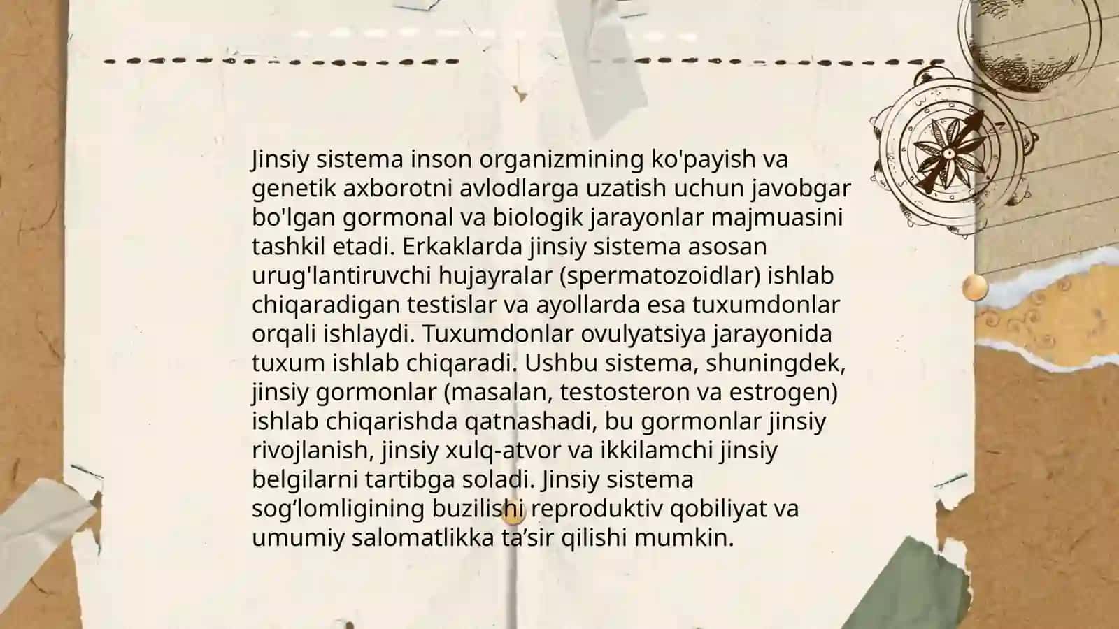 Jinsiy sisteman umumiy tavsifi taraqqiyotining indefferent erkak va ayol turidagi ixtisoslashgan bosqichi 4