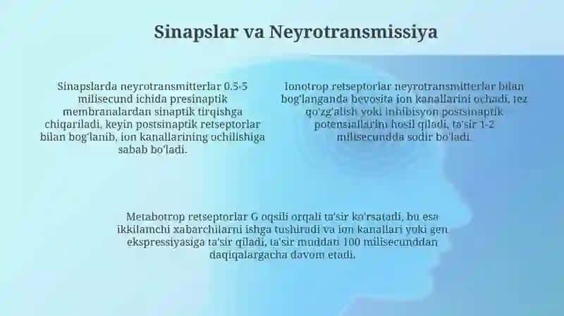 Markaziy nerf sistemasining umumiy fiziologiyasi 4