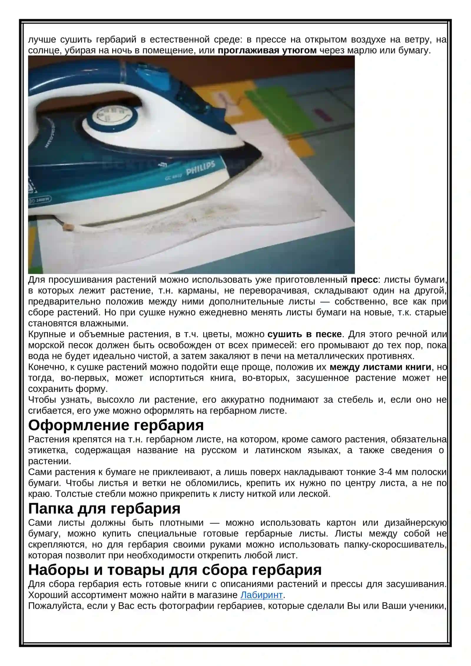Приготовление гербарии 4