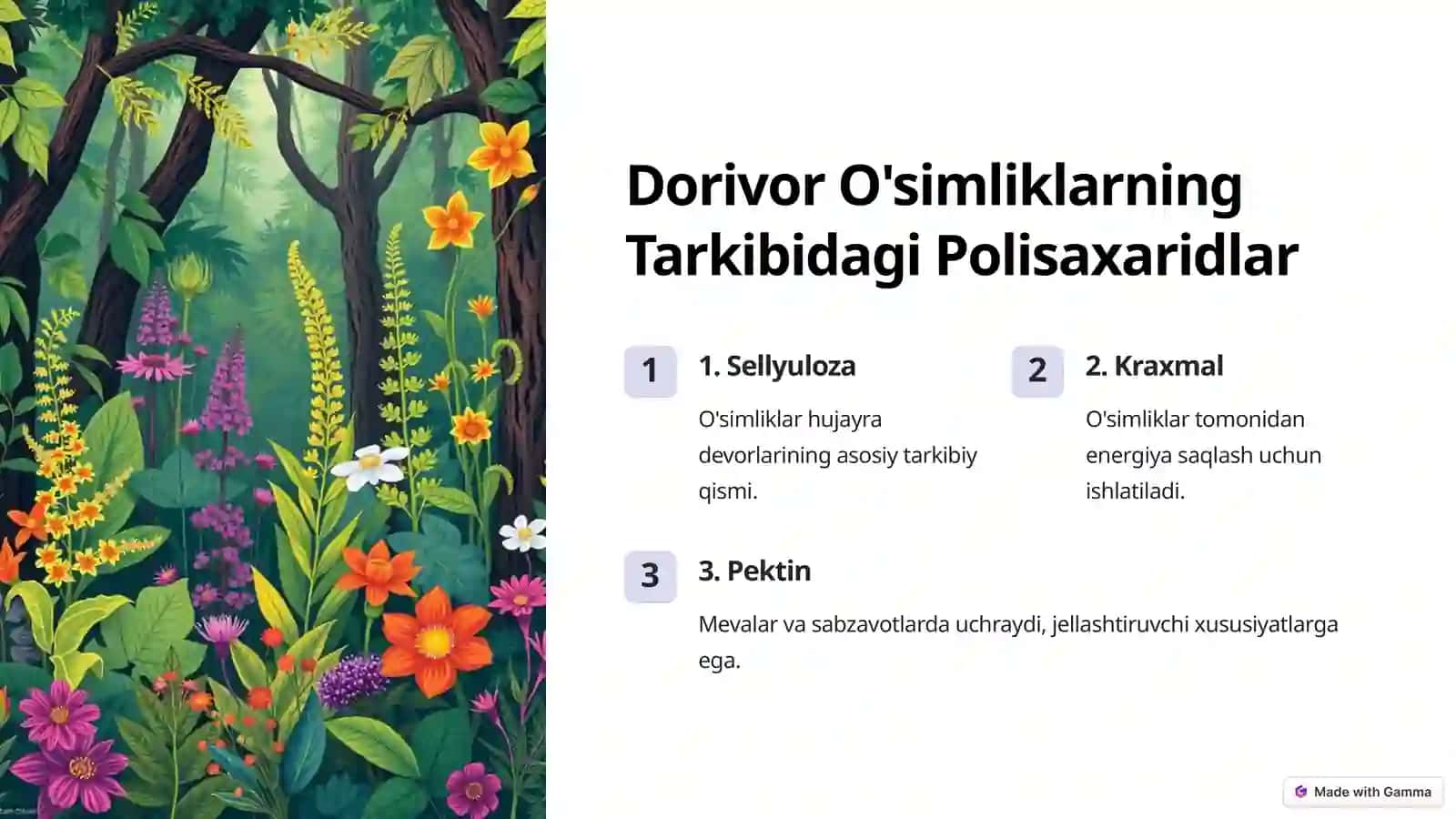 Polisaxaridlar Nima? 4