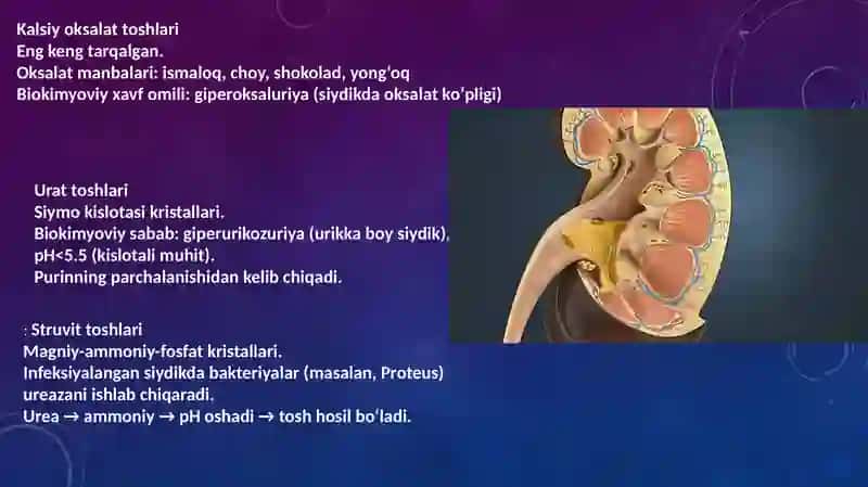 Buyraktoshlarining Biokimyoviy Mexanizmlari va Profilaktikasi 4