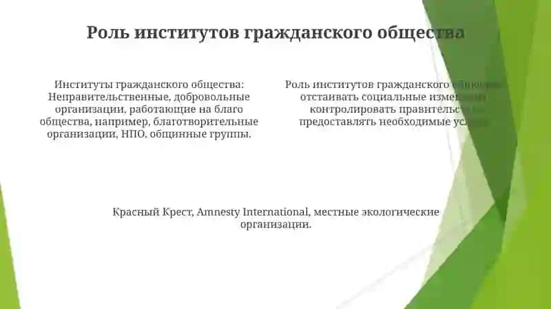 Институты гражданского общества 4