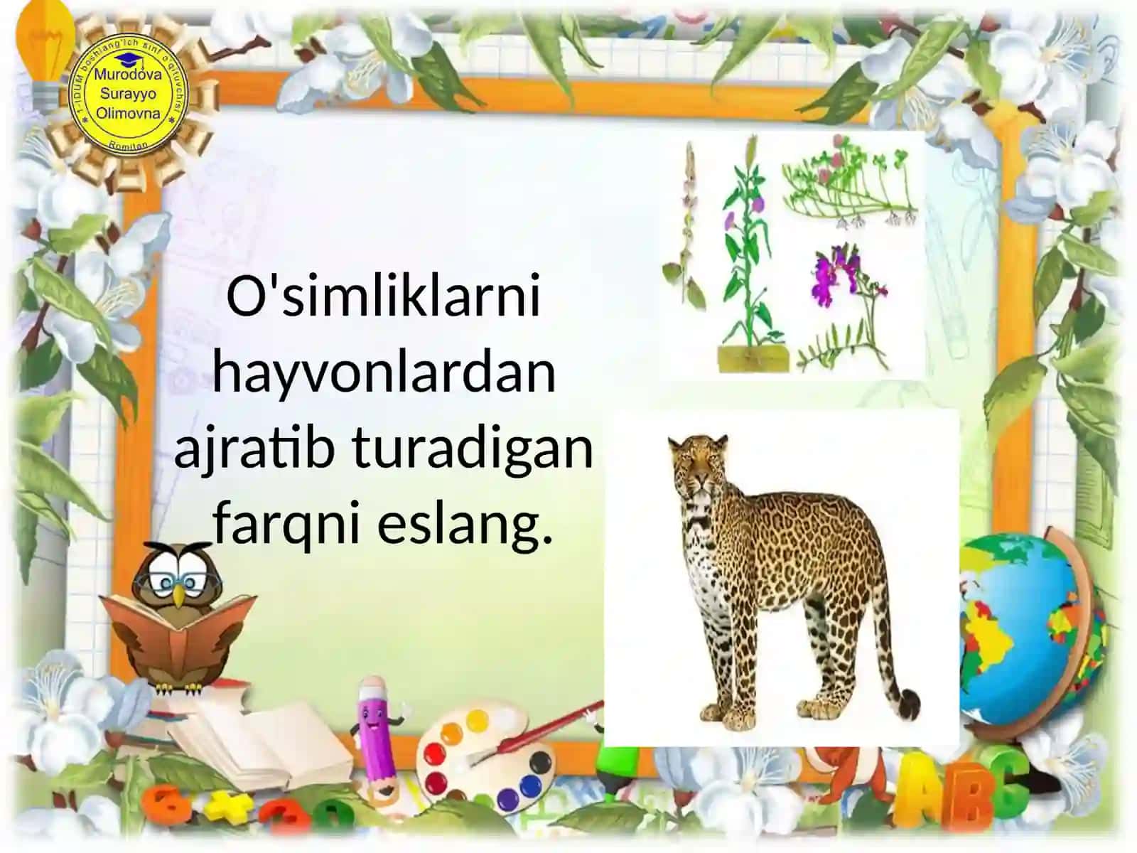 O’simliklarxilma-xilligi 4