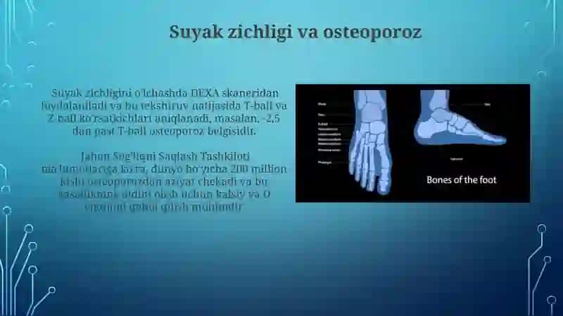 Chanoq kamari va oyoq erkin suyaklari,yoshga doir xususiyatlari 4