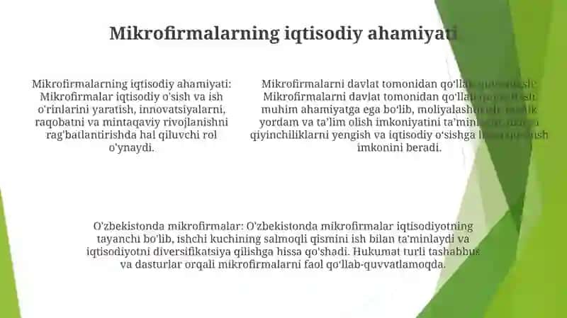 Mikrofirma Faoliyatini Davlat Tomonidan Qo'Llab Quvvatlanishi 4