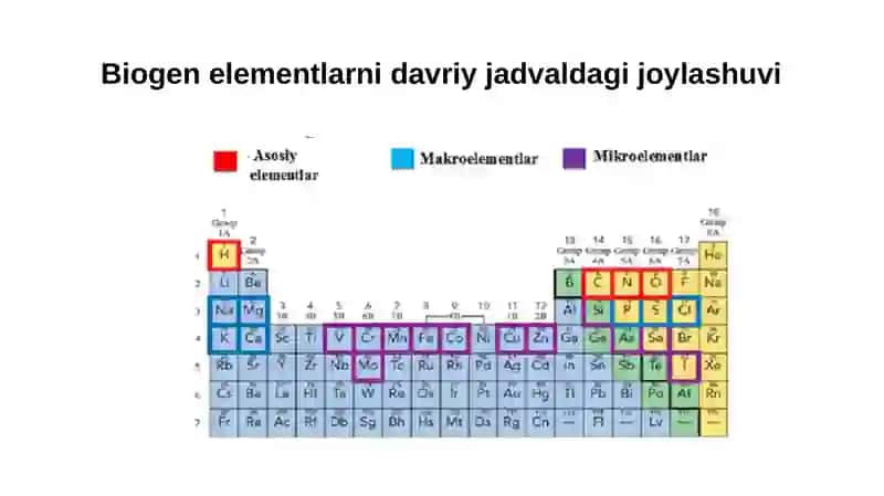 Biogen elementlar 4
