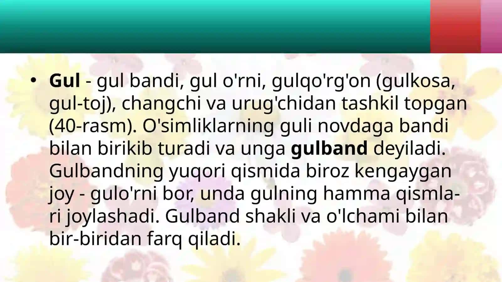 6-sinf Botanika fanidan dars ishlanma. Gul - o'simlikning genetativ ko'payish organi 4