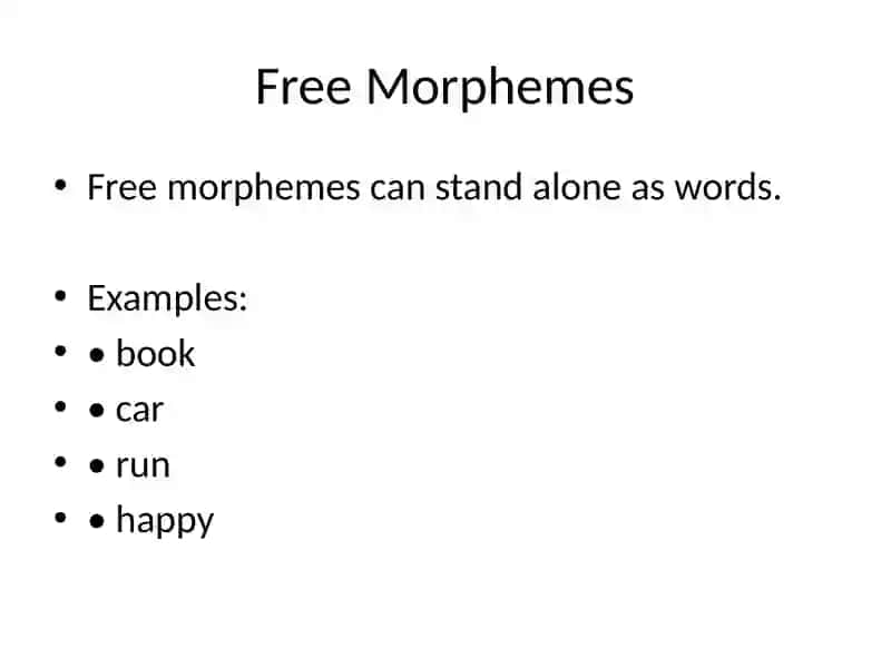 The Morphological Structure of English 4