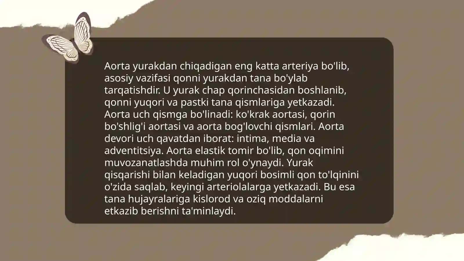 Aorta anatomiyasi 4