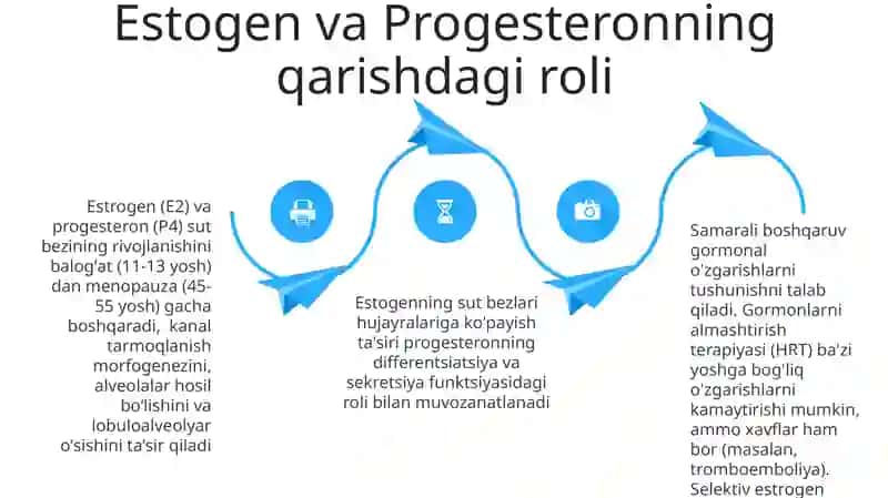 Ko'krak bezining faoliyatini boshqarish 4