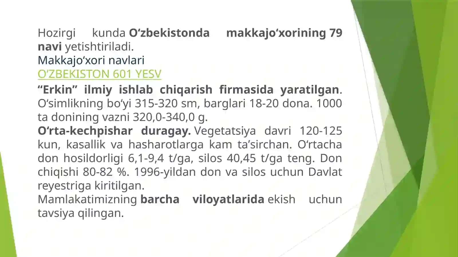 Makkajo’xori–sug’oriladigansharoitdadonuchunyetishtirish 4