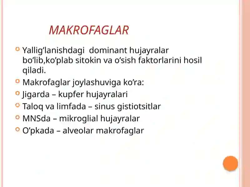 Pediatriya fakulteti 304 b-guruh talabasi Rivojiddinova Marjonaning patologik fiziologiya fanidan mustaqilishi 4