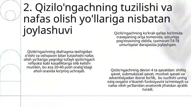 Nafas yóllariga kiruvchi aʼzolarni tuzilishi joylashishi 4
