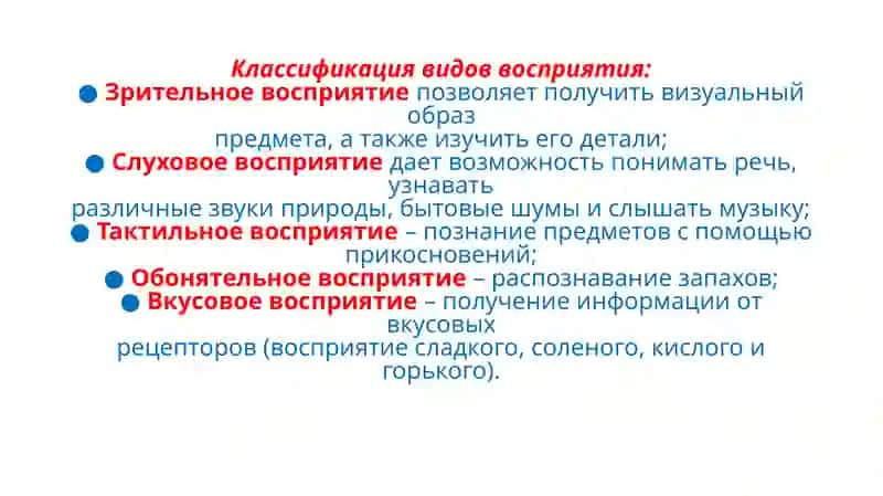 Развитие восприятия в процессе изобразительной деятельности у детей дошкольного возраста 4