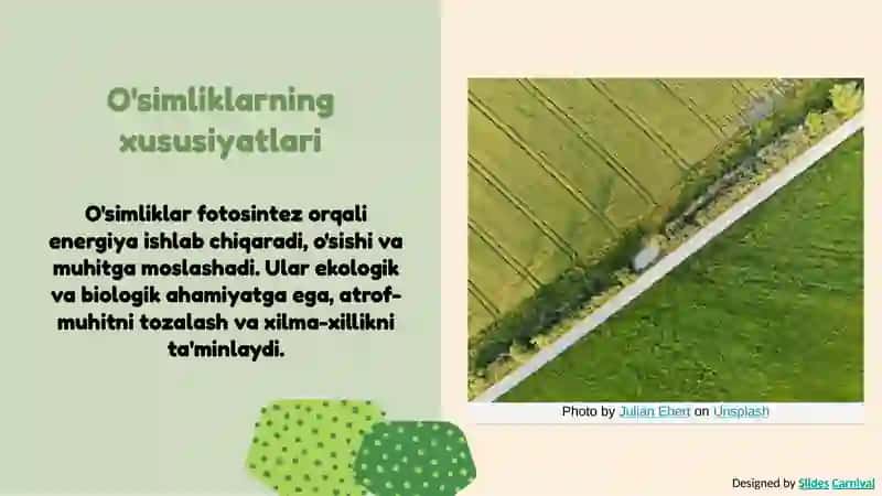 O‘simliklar dunyosi va ularning hayot tarzi haqida bilimlarni bilib olish va tahlil qilish 4