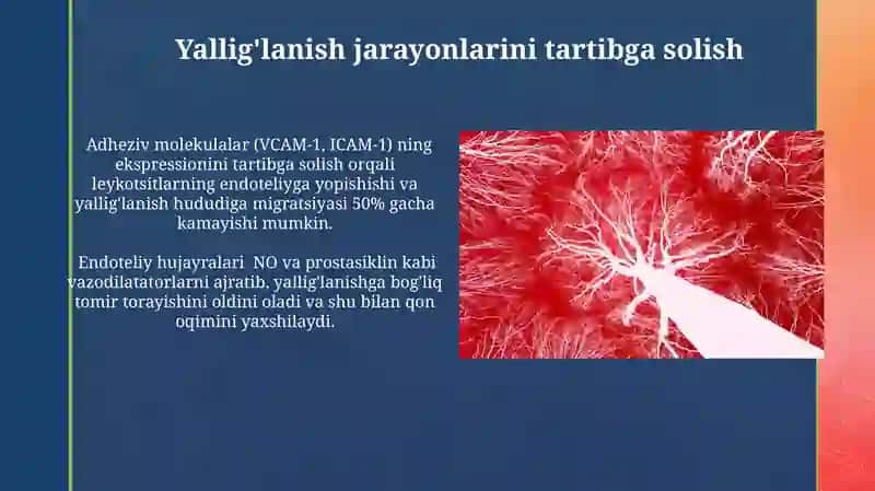 Qon tomirlar endoteliysining funksiyalari 4
