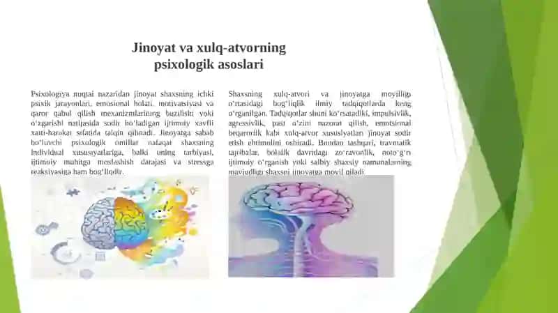 Jinoyat va xulq-atvorning psixologik omillari 4
