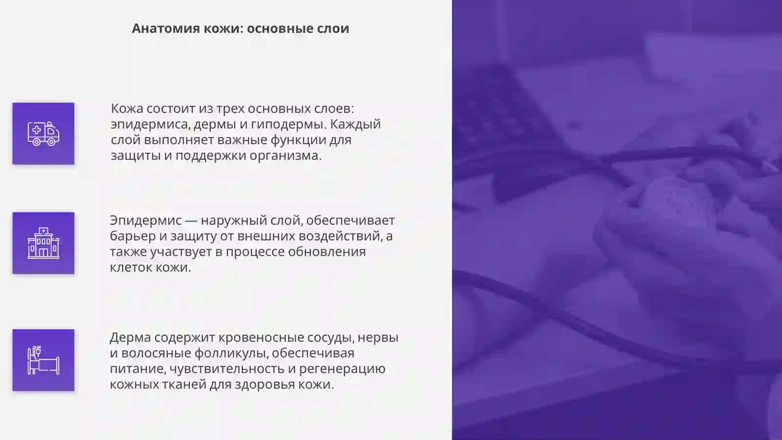 Лексическая тема. Строение и состав кожи 4
