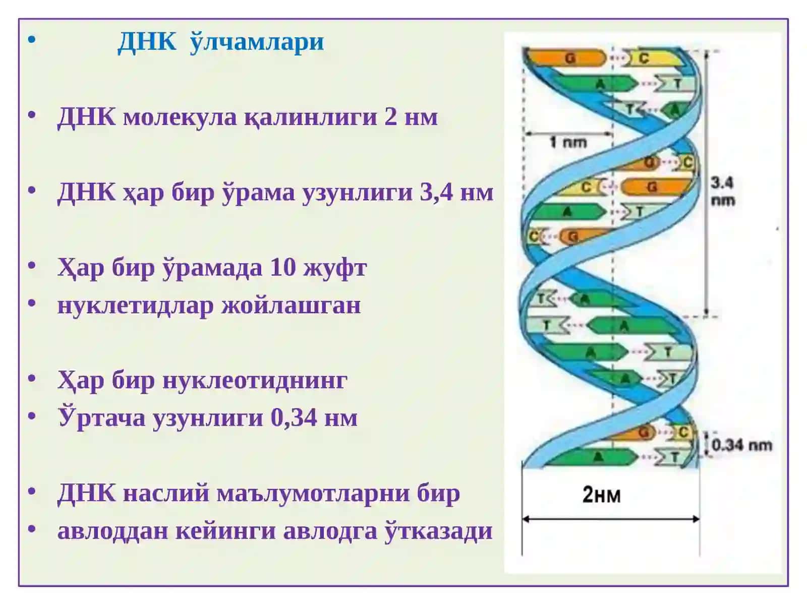 ПАТОЛОГИК АНАТОМИЯ “ГЕН, МУТАЦИЯ, ГЕНЕТИК КАСАЛЛИКЛАР” 4