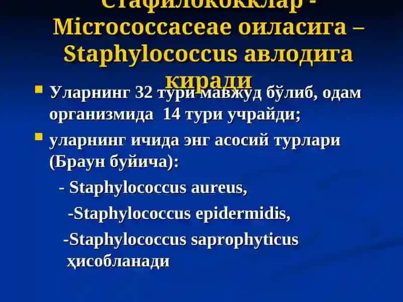 Йирингли яллиғланиш касалликларини чақирувчи қўзғатувчиларга тавсиф 4