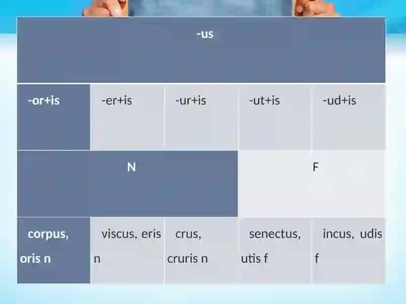Оtlarning 3-turlanishi.  Genus masculinum. Genus femininum. Genus neutrum. 4