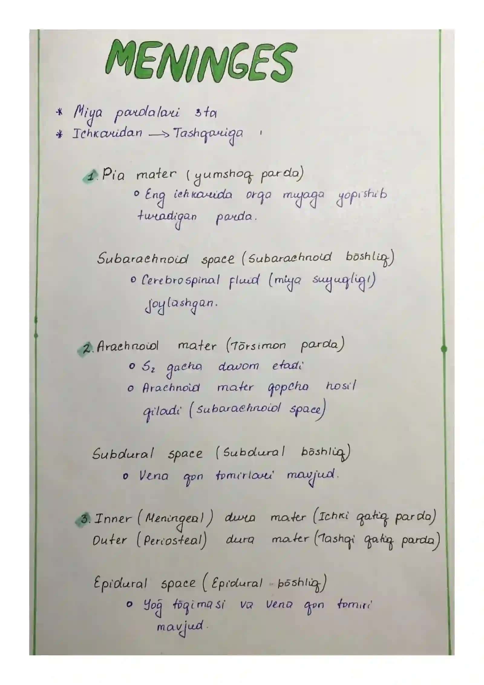 Oraliq miya tuzulishi. Gipotalamus ahamiyati 4