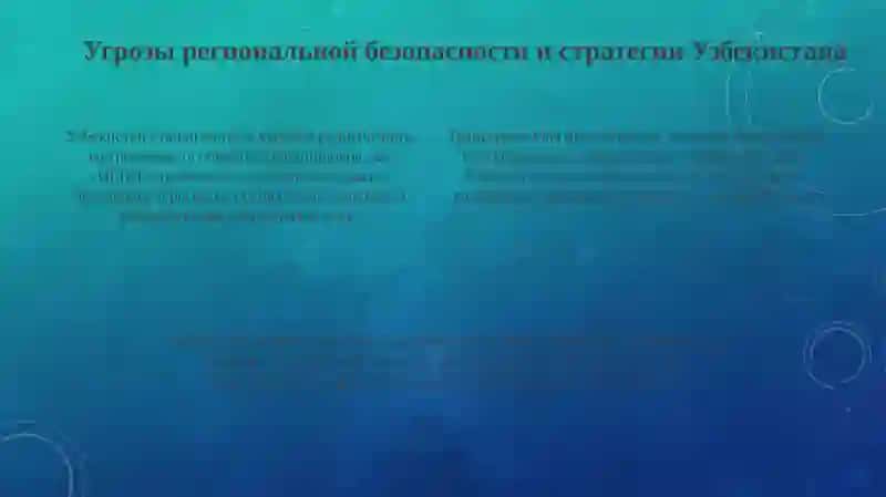 Роль Узбекистана в обеспечении региональной безопасности 4