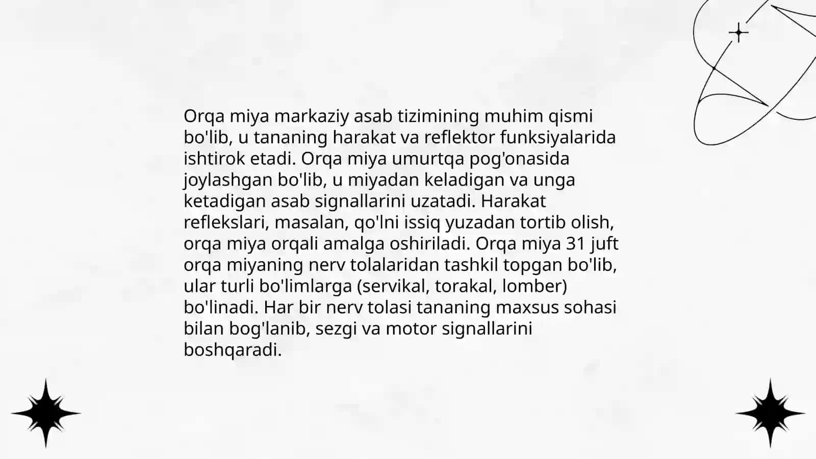 Orqa miya joylashishi va tuzilishi 4