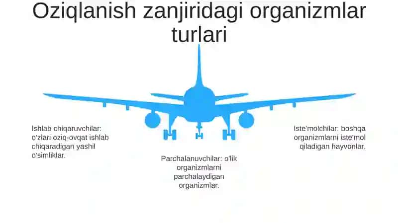 Oziq Zanjiri Va Ekologik Piramida Qoidasiga Oid Masala Va Mashqlar Tuzish Hamda Yechish Metodikasi 4