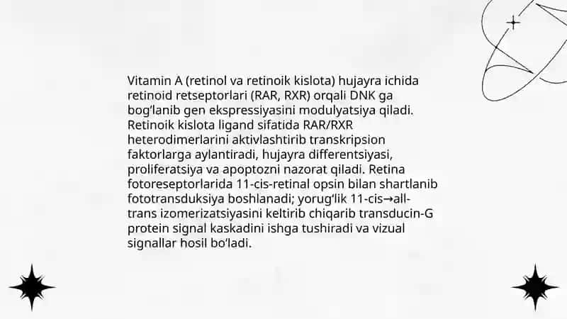 Vitaminlarning biokimyo va molekulyar biologiyaviy roli 4